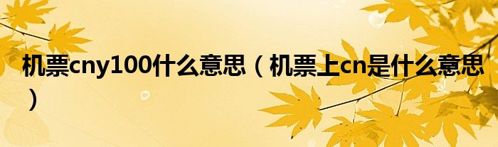 机票cny100什么意思（机票上cn是什么意思）