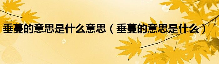 垂蔓的意思是什么意思（垂蔓的意思是什么）