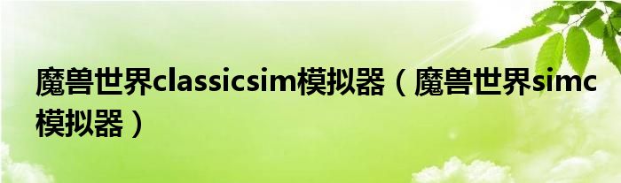 魔兽世界classicsim模拟器（魔兽世界simc模拟器）