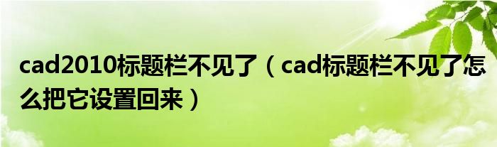 cad2010标题栏不见了（cad标题栏不见了怎么把它设置回来）