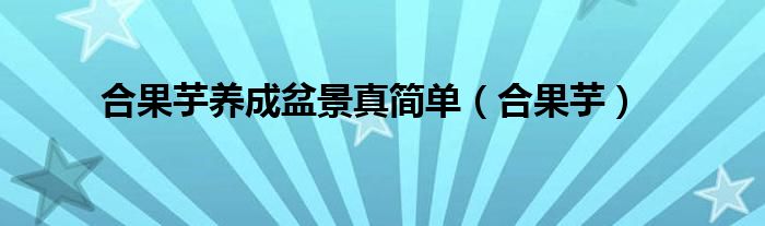 合果芋养成盆景真简单（合果芋）