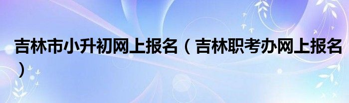 吉林市小升初网上报名（吉林职考办网上报名）