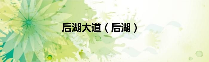 后湖大道（后湖）