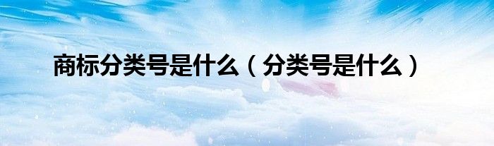 商标分类号是什么（分类号是什么）