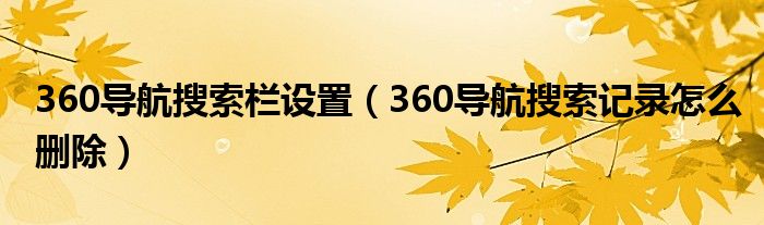 360导航搜索栏设置（360导航搜索记录怎么删除）