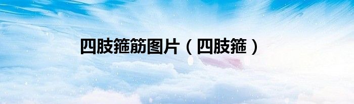 四肢箍筋图片（四肢箍）