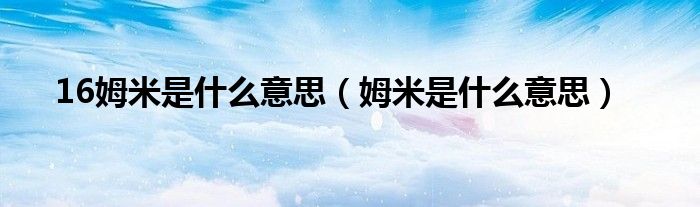 16姆米是什么意思（姆米是什么意思）