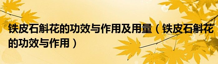 铁皮石斛花的功效与作用及用量（铁皮石斛花的功效与作用）