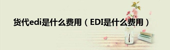 货代edi是什么费用（EDI是什么费用）