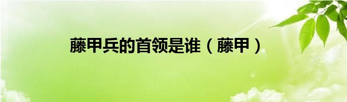 藤甲兵的首领是谁（藤甲）