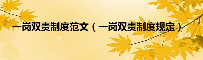 一岗双责制度范文（一岗双责制度规定）