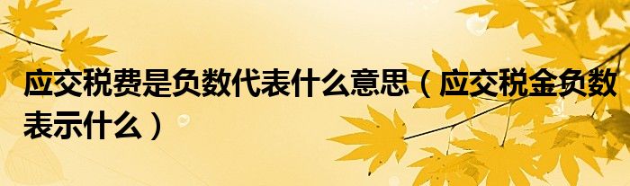 应交税费是负数代表什么意思（应交税金负数表示什么）