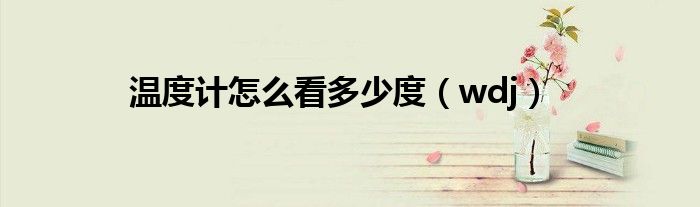 温度计怎么看多少度（wdj）