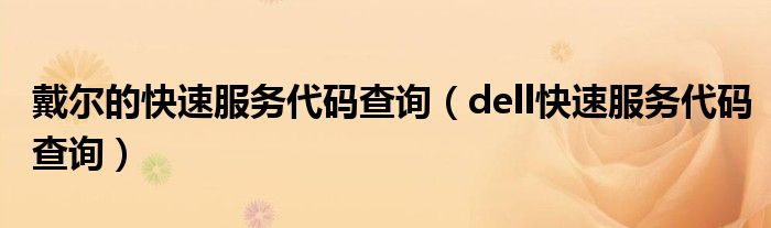 戴尔的快速服务代码查询（dell快速服务代码查询）