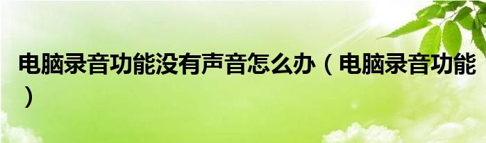 电脑录音功能没有声音怎么办（电脑录音功能）