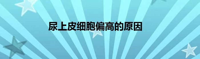 尿上皮细胞偏高的原因