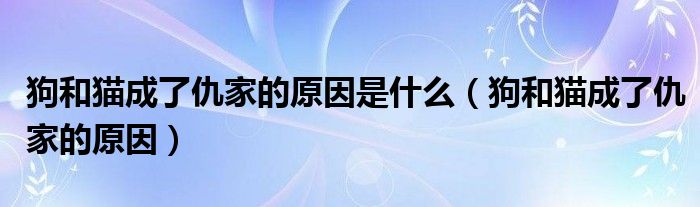 狗和猫成了仇家的原因是什么（狗和猫成了仇家的原因）