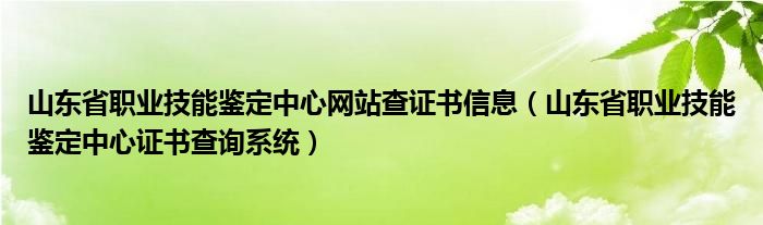 山东省职业技能鉴定中心网站查证书信息（山东省职业技能鉴定中心证书查询系统）