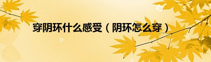 穿阴环什么感受（阴环怎么穿）
