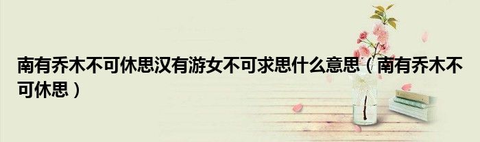 南有乔木不可休思汉有游女不可求思什么意思（南有乔木不可休思）