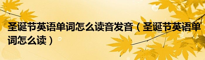 圣诞节英语单词怎么读音发音（圣诞节英语单词怎么读）