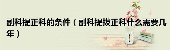 副科提正科的条件（副科提拔正科什么需要几年）