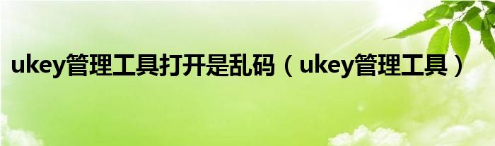 ukey管理工具打开是乱码（ukey管理工具）