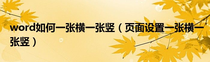 word如何一张横一张竖（页面设置一张横一张竖）