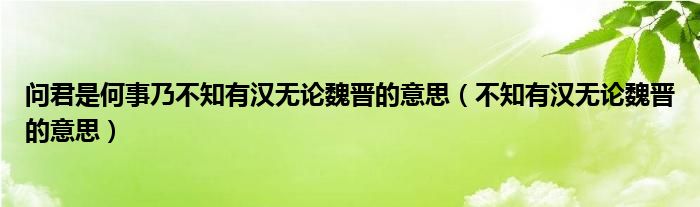 问君是何事乃不知有汉无论魏晋的意思（不知有汉无论魏晋的意思）