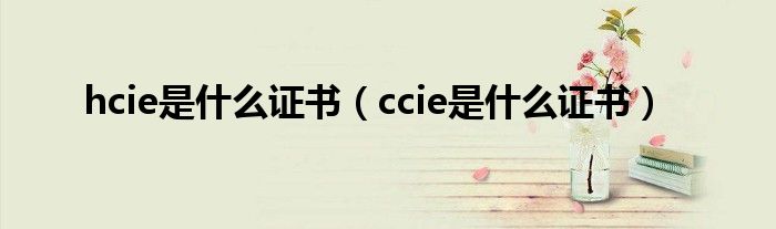 hcie是什么证书（ccie是什么证书）