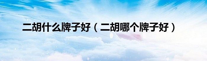 二胡什么牌子好（二胡哪个牌子好）