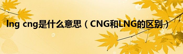 lng cng是什么意思（CNG和LNG的区别）