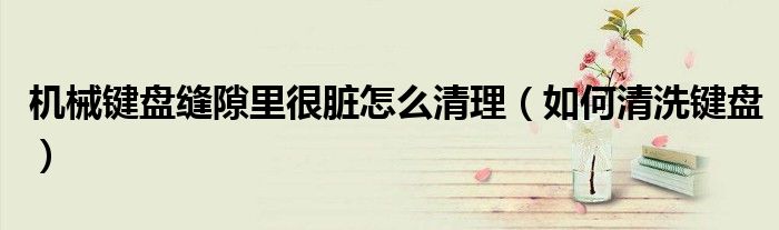 机械键盘缝隙里很脏怎么清理（如何清洗键盘）