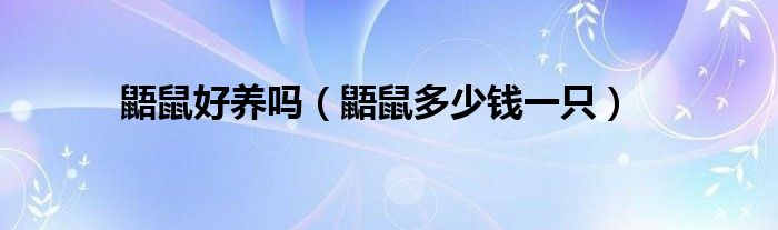 鼯鼠好养吗（鼯鼠多少钱一只）