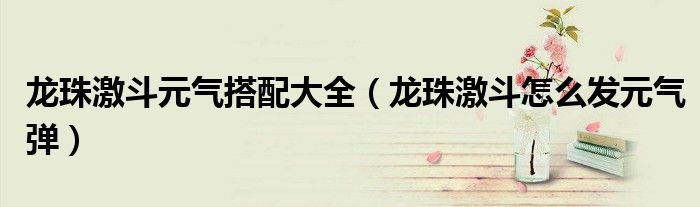 龙珠激斗元气搭配大全（龙珠激斗怎么发元气弹）