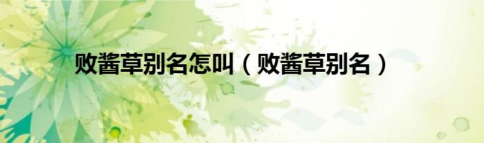 败酱草别名怎叫（败酱草别名）