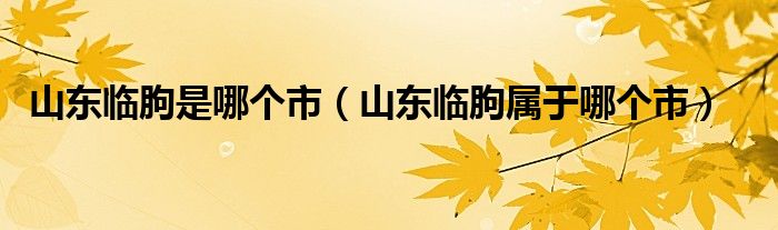 山东临朐是哪个市（山东临朐属于哪个市）