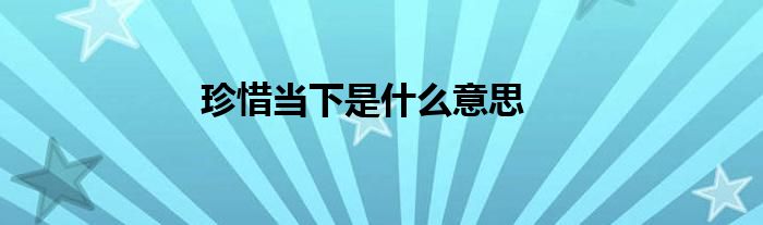 珍惜当下是什么意思