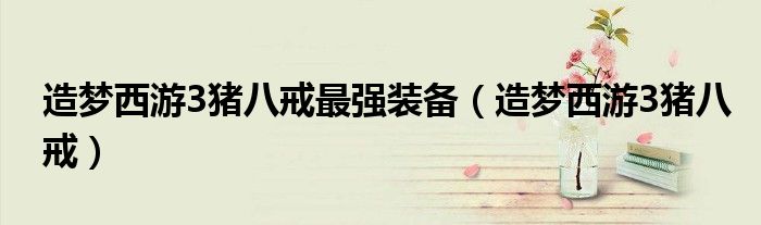 造梦西游3猪八戒最强装备（造梦西游3猪八戒）
