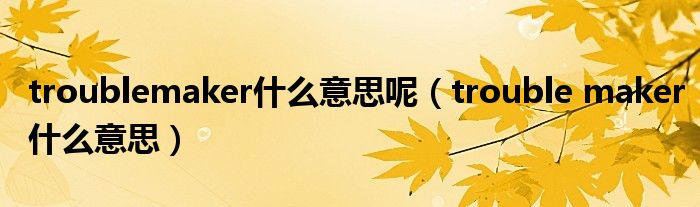 troublemaker什么意思呢（trouble maker什么意思）