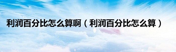利润百分比怎么算啊（利润百分比怎么算）
