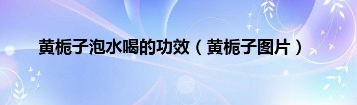 黄栀子泡水喝的功效（黄栀子图片）