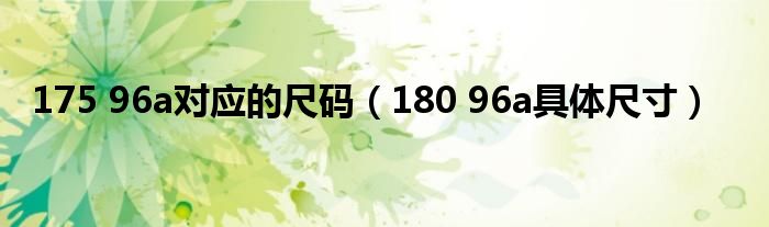 175 96a对应的尺码（180 96a具体尺寸）