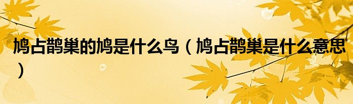 鸠占鹊巢的鸠是什么鸟（鸠占鹊巢是什么意思）