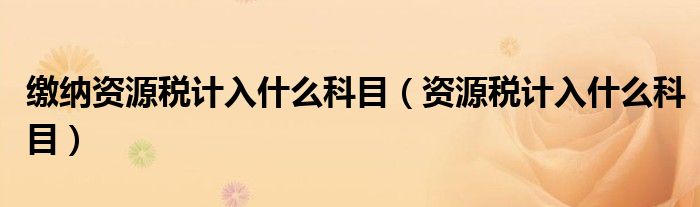 缴纳资源税计入什么科目（资源税计入什么科目）