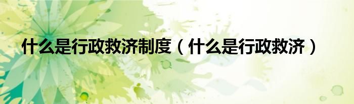什么是行政救济制度（什么是行政救济）