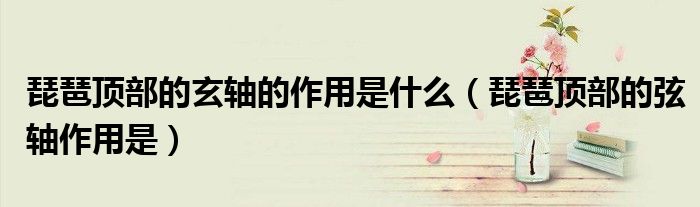 琵琶顶部的玄轴的作用是什么（琵琶顶部的弦轴作用是）