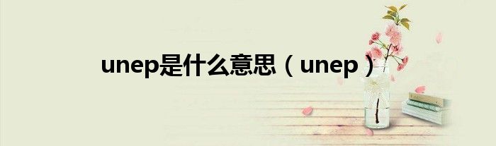 unep是什么意思（unep）