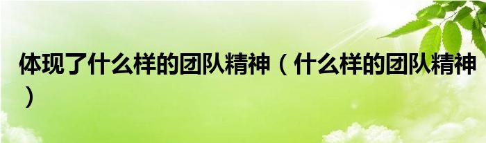 体现了什么样的团队精神（什么样的团队精神）