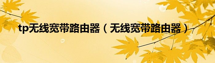 tp无线宽带路由器（无线宽带路由器）